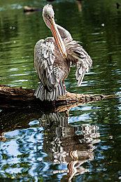 《地下城与勇士 决斗》街霸实机 发售日期待定